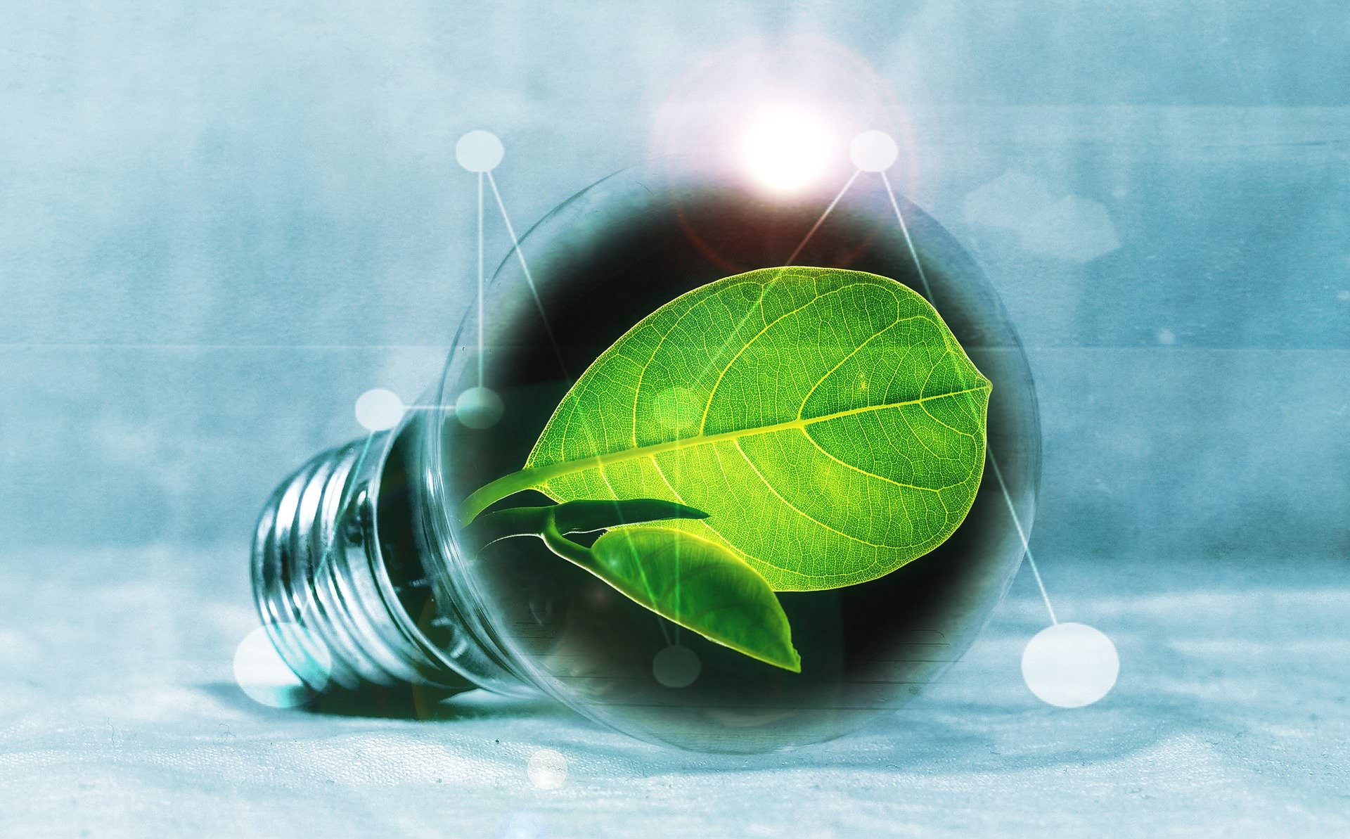 zarulja-ekologija-zelena-tranzicija-pixabay.jpg