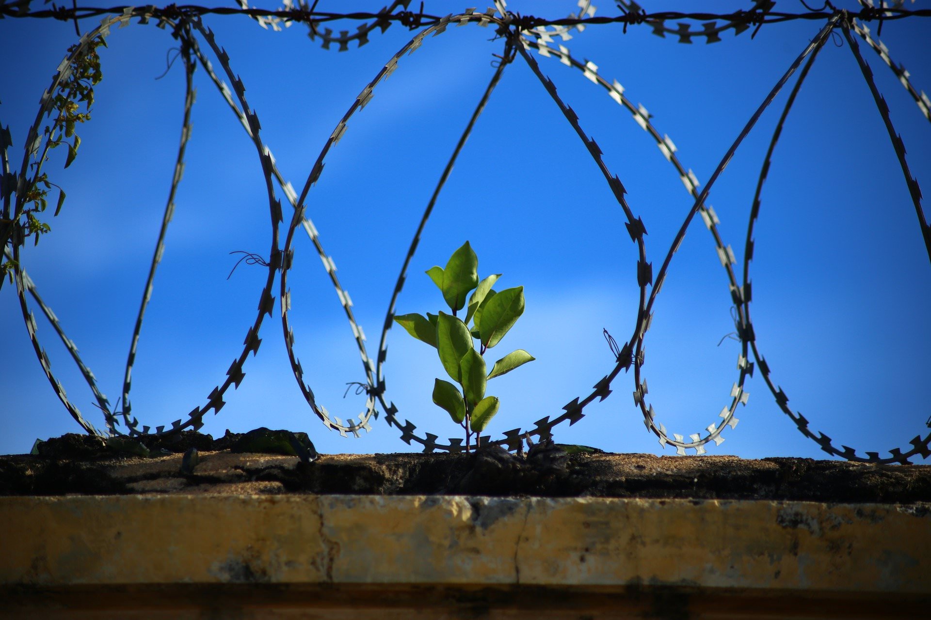 zatvorska-ograda-nebo-pixabay.jpg