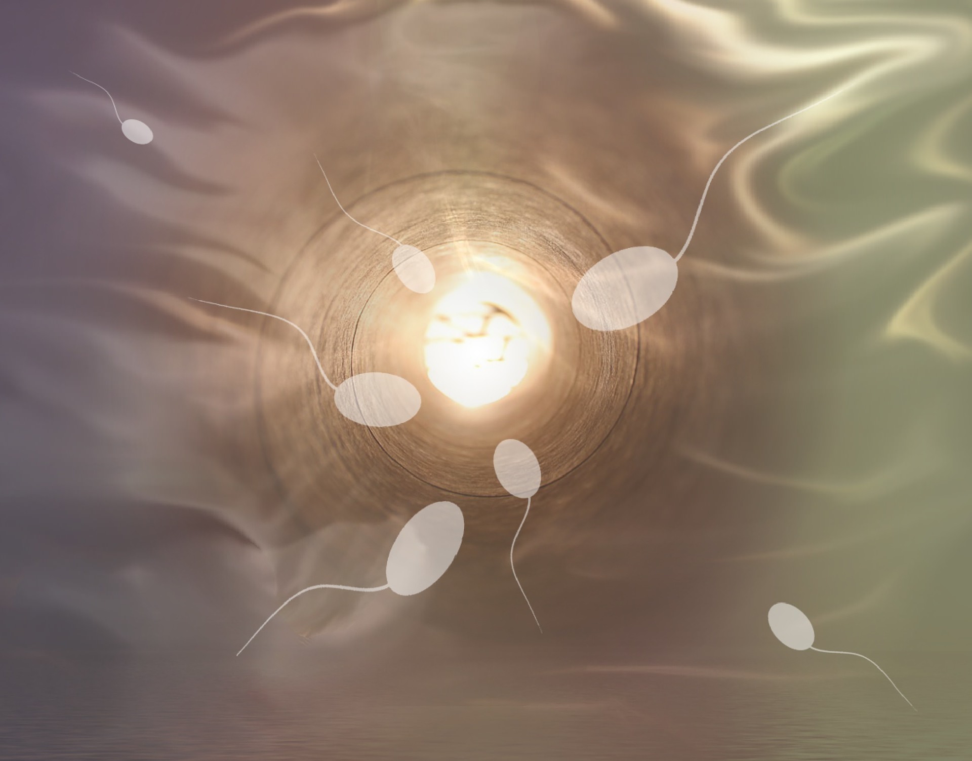 sperma-pixabay.jpg