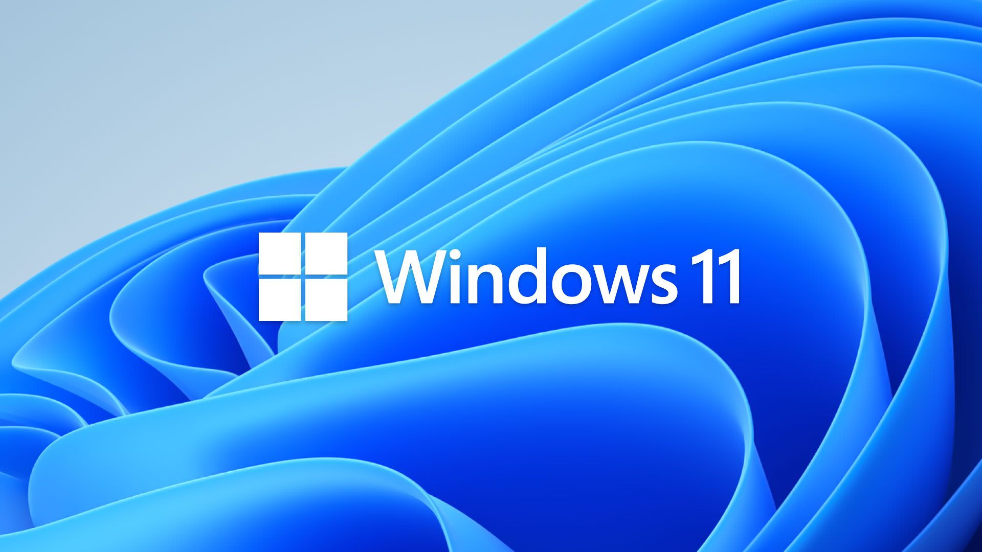 windows-11-fotomicrosoft.jpg
