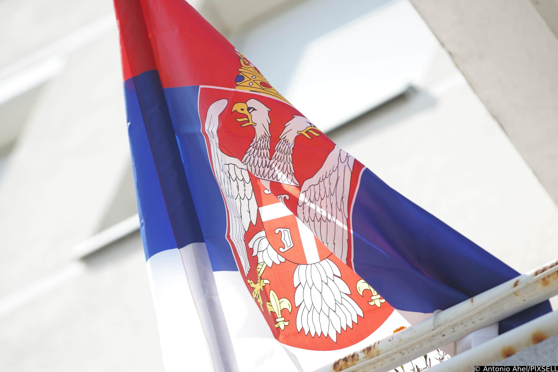 srpska-zastava-pixell.jpg