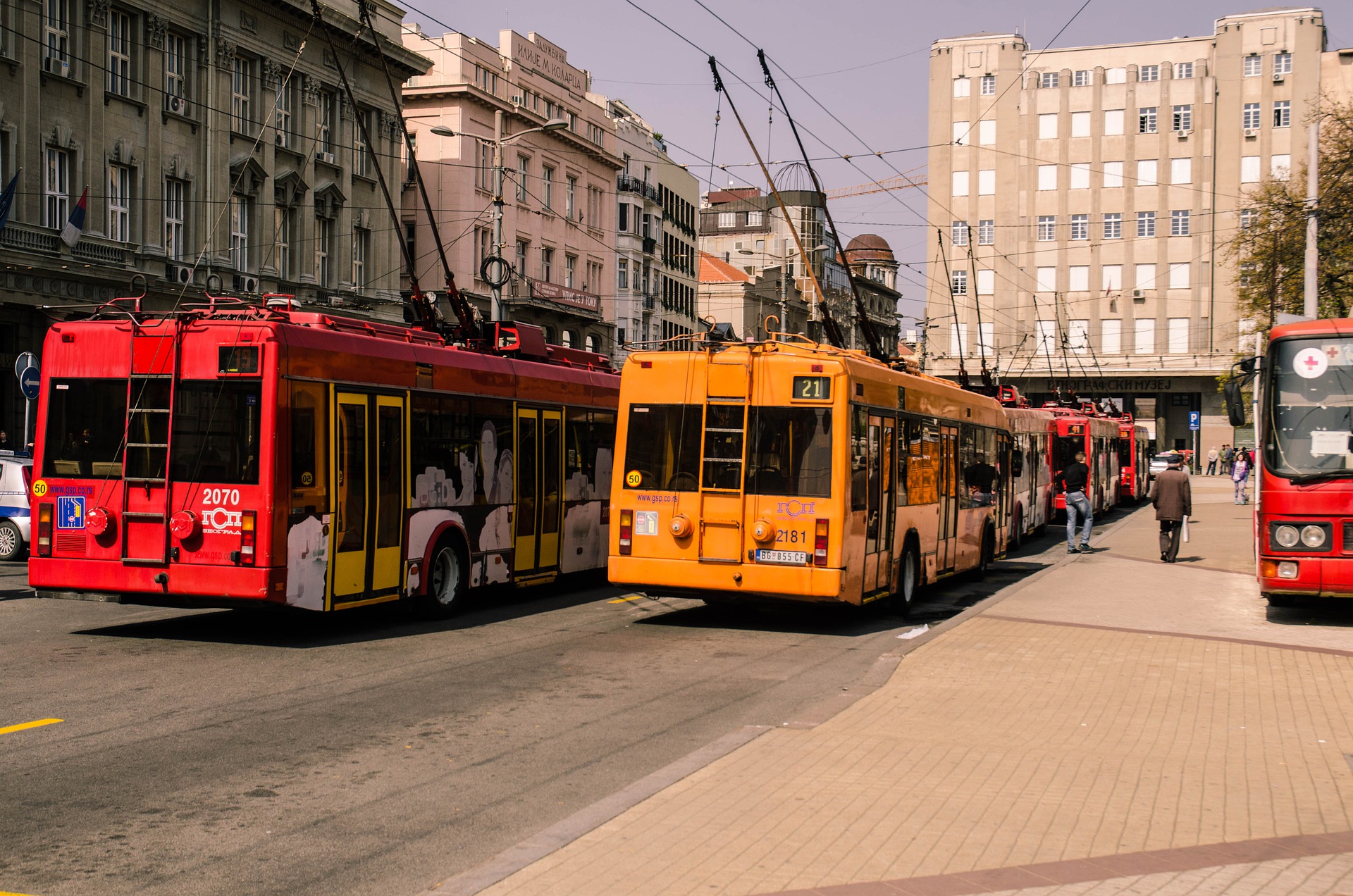 Beograd_trolejbus_javni prevoz_Pixabay.jpg
