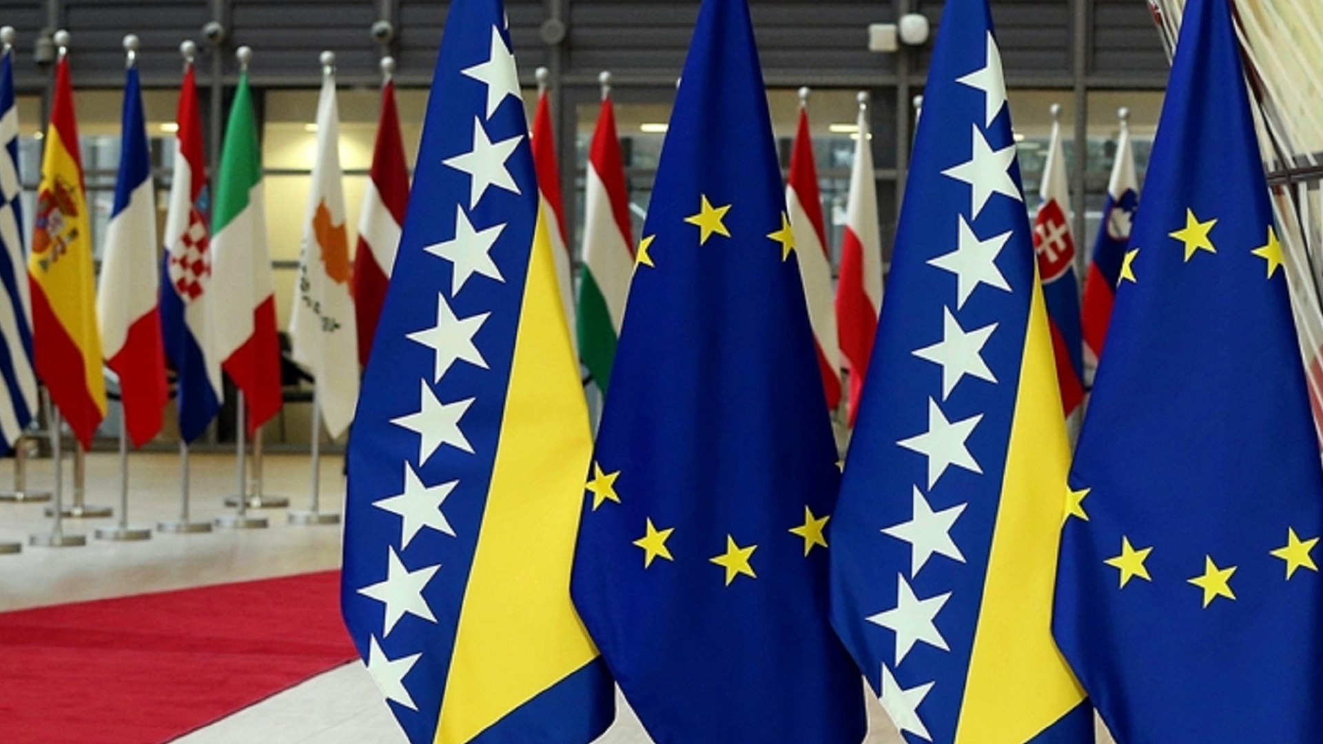 BiH_EU_zastava_Anadolija Cropped.jpg