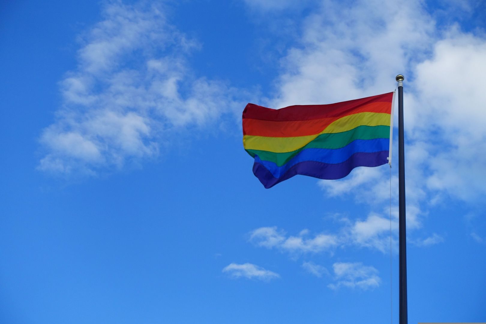 Gej zastava_gay_Foto Pixabay.jpg