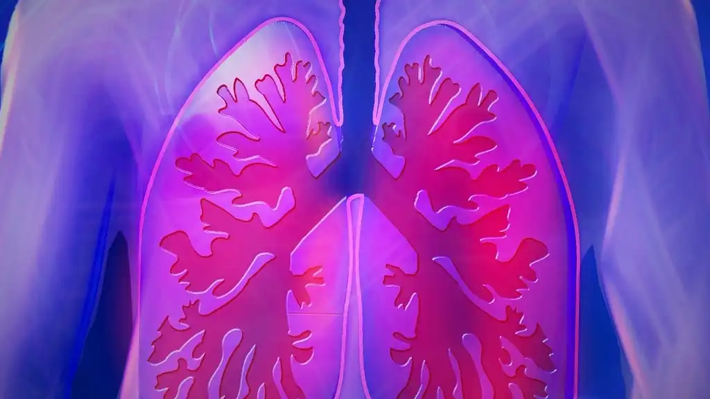 pluća, pixabay-1664188922342.webp