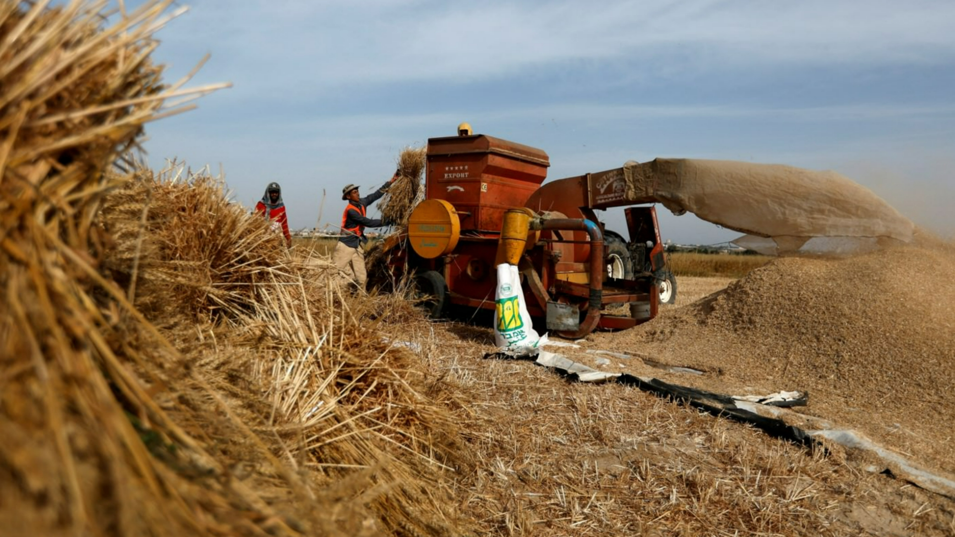 žito pšenica ukrajina setva žetva reuters.jpg