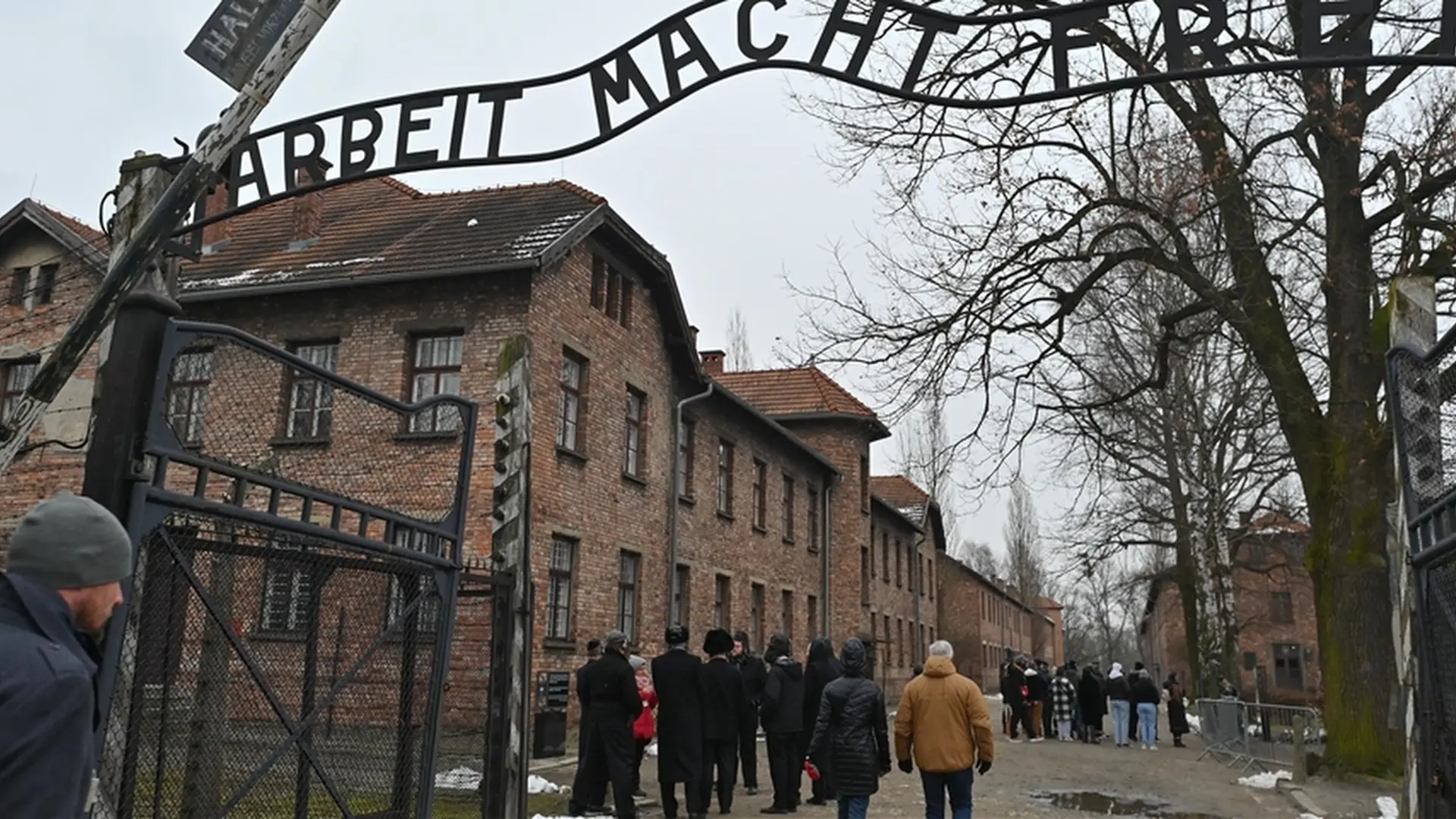 Auschwitz_anadolija 1-63d3d24a92e45.webp