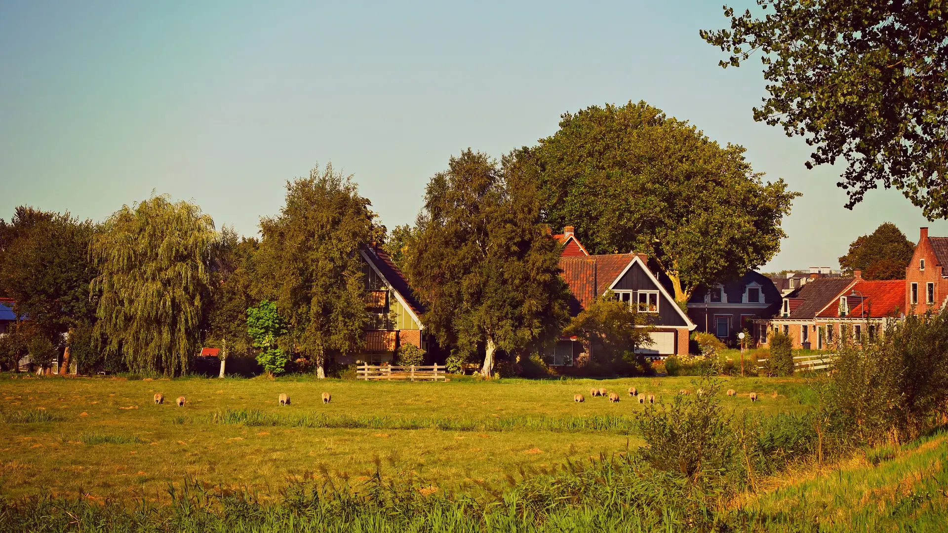 holandsko selo-63c11b146f9b5.webp