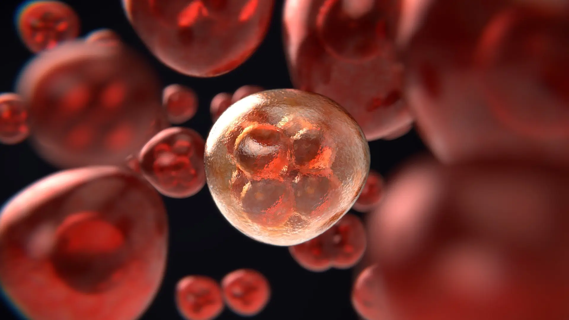 Rak_ćelije raka_Foto Pixabay-641b67533f7a2.webp