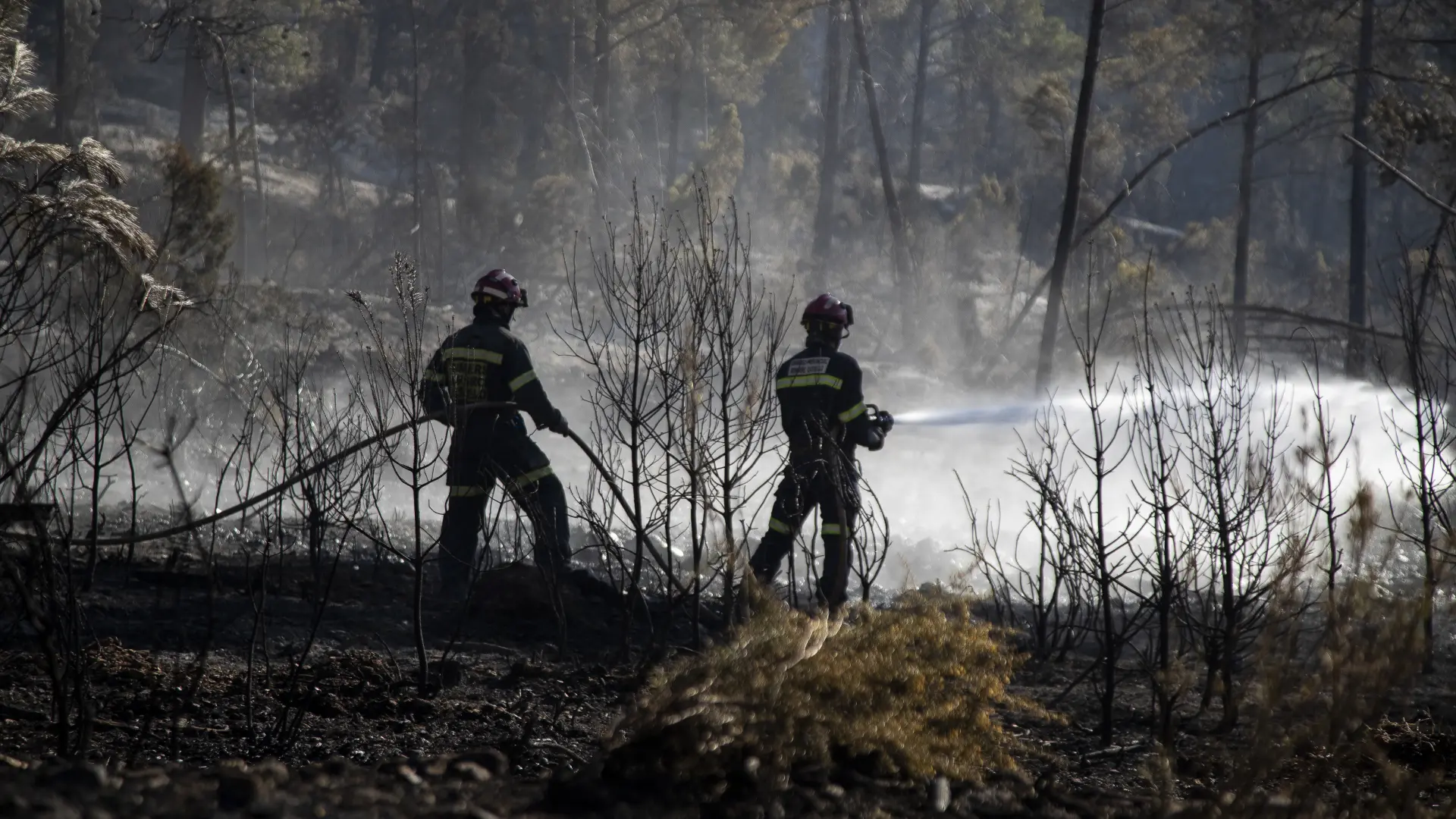 Španija_šumski požar_vatrogasci_Foto Reuters-6425cc1d05636.webp