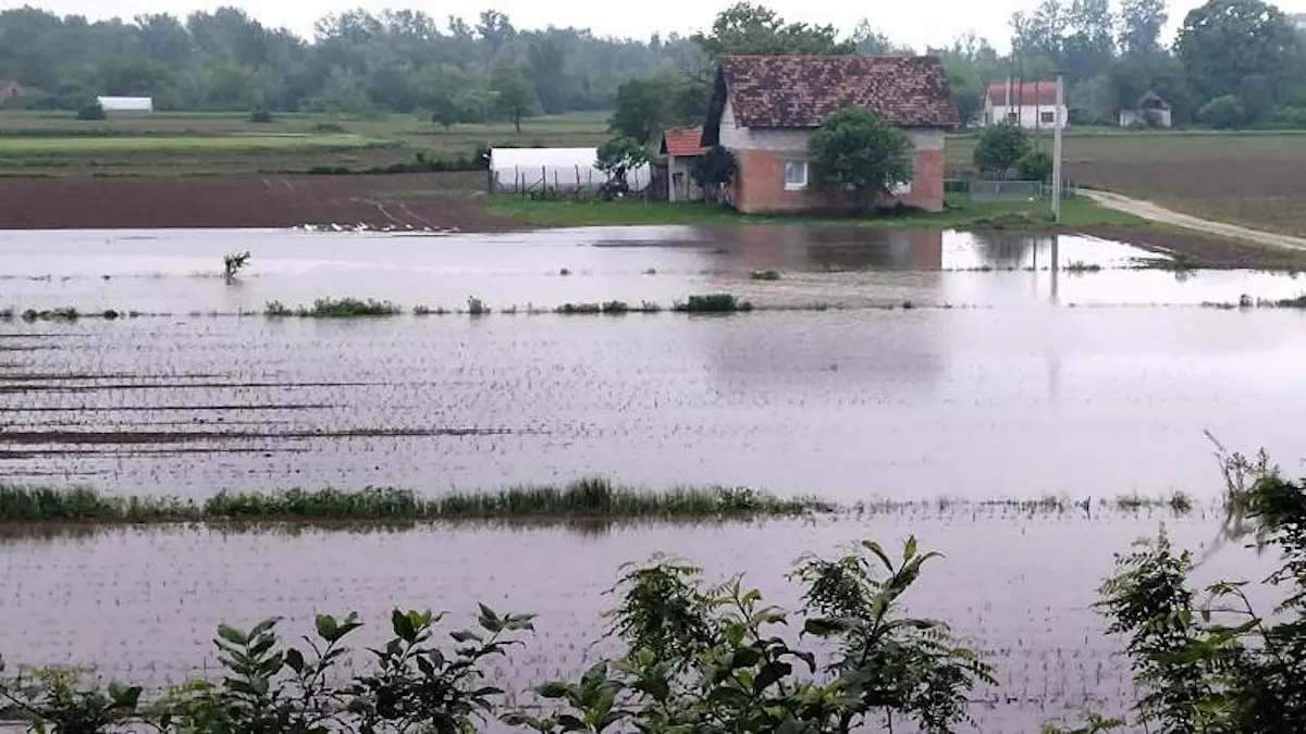 Srbac poplave foto SRNA-6464ff9c84454.webp
