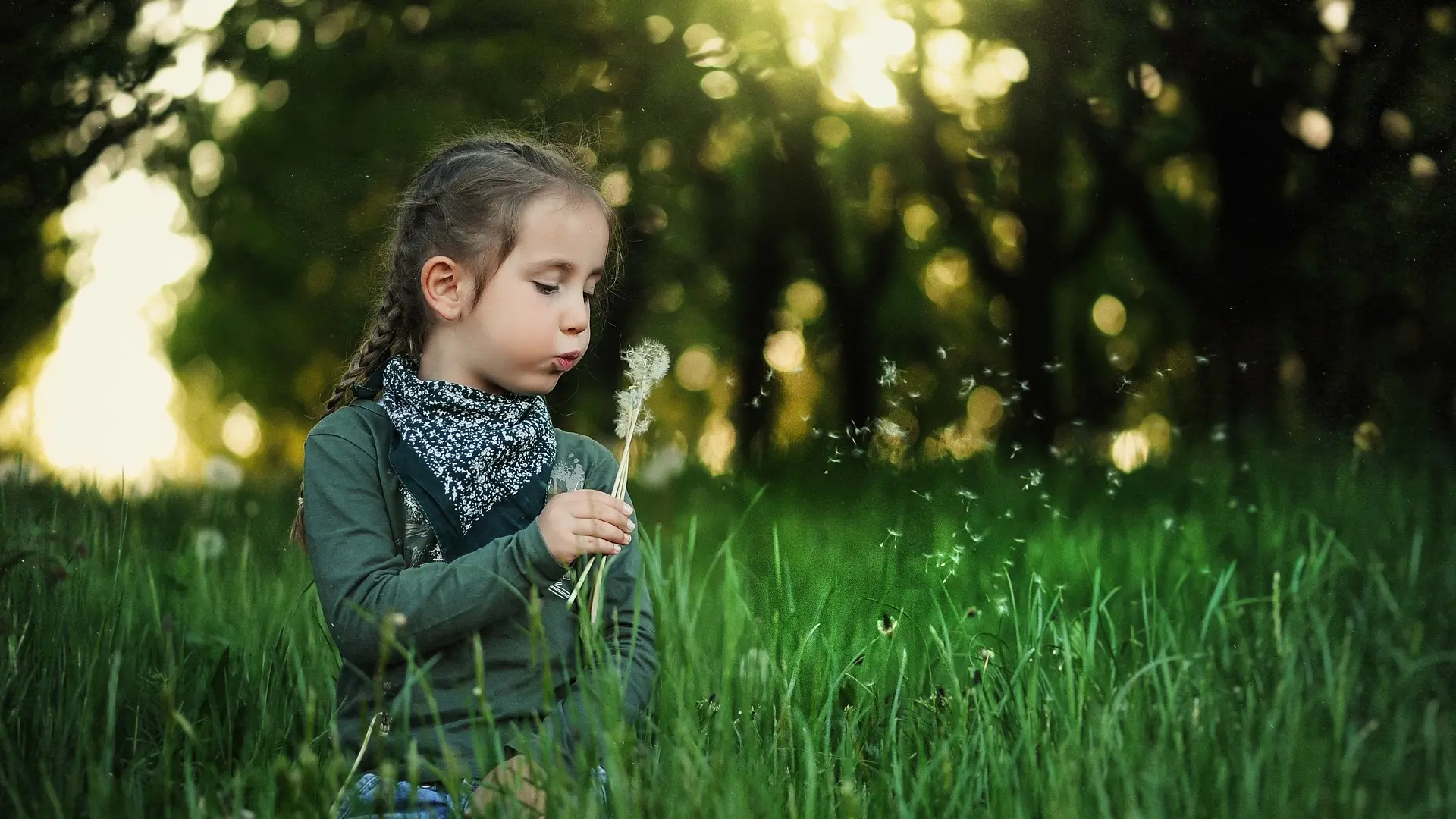 dete, proleće, livada, sunce, trava, deca, devojčica pixabay-646afa0a8ed52.webp