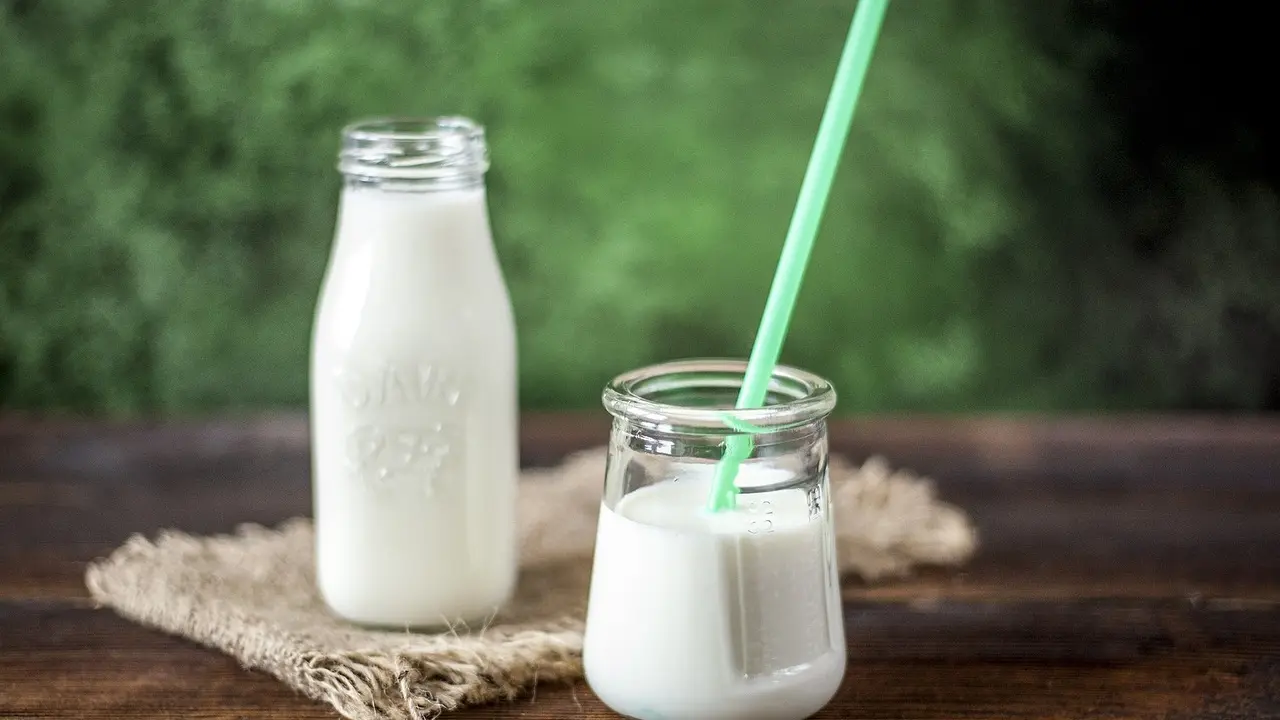 jogurt mleko pixabay-64dc77348d113.webp