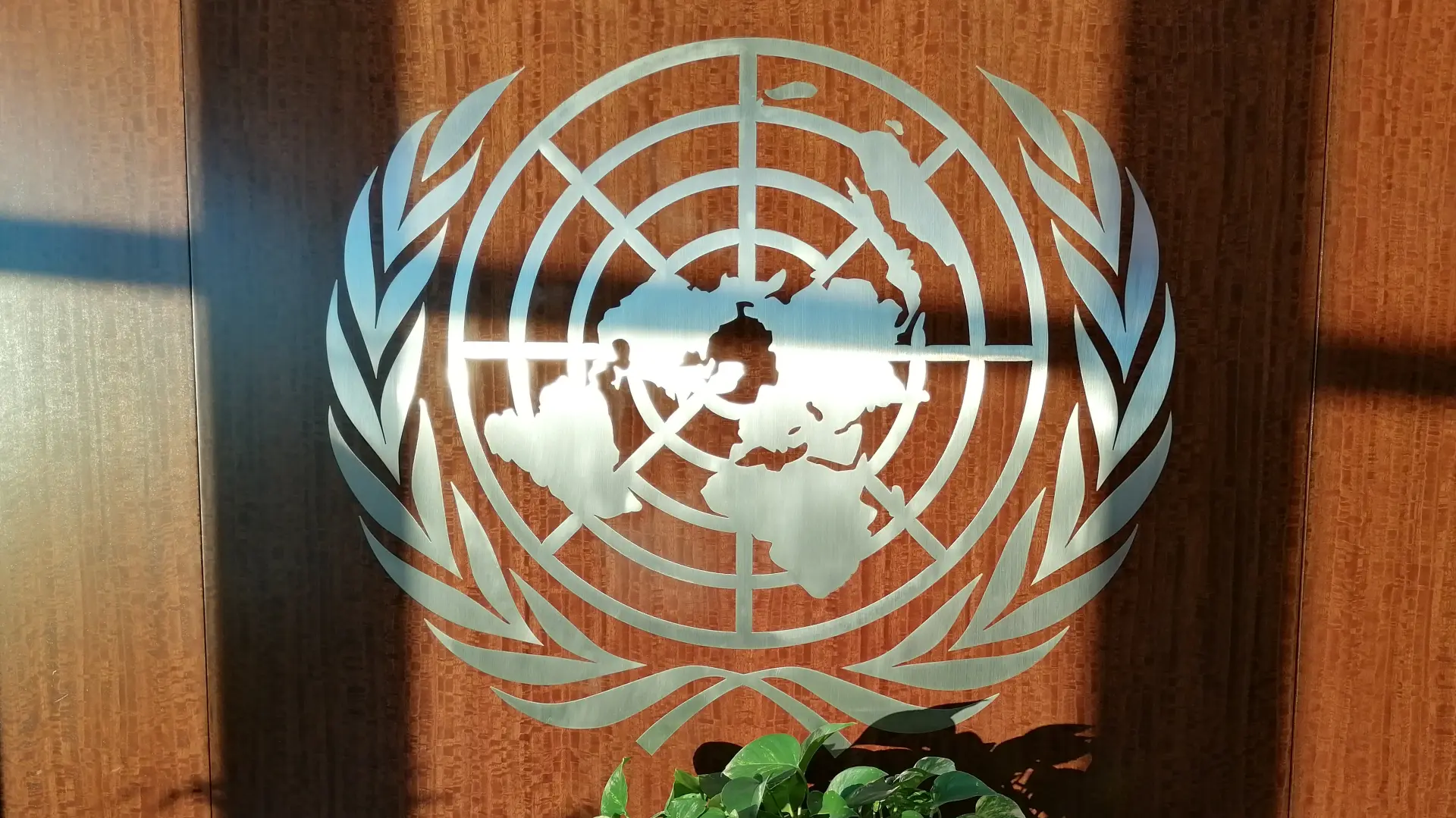 UN zoran colić tanjug ujedinjene nacije-653782ca14146.webp