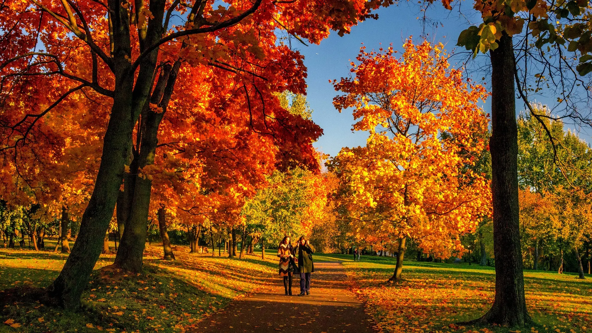 fall jesen septembar, vreme, lišće foto pixabay-6530d80b49df7.webp