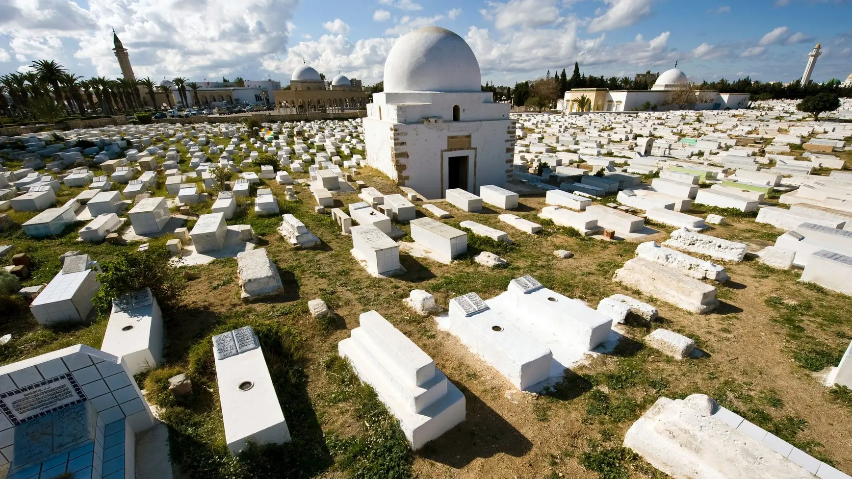 groblje u tunisu profimedia-6526b4ec13492.webp