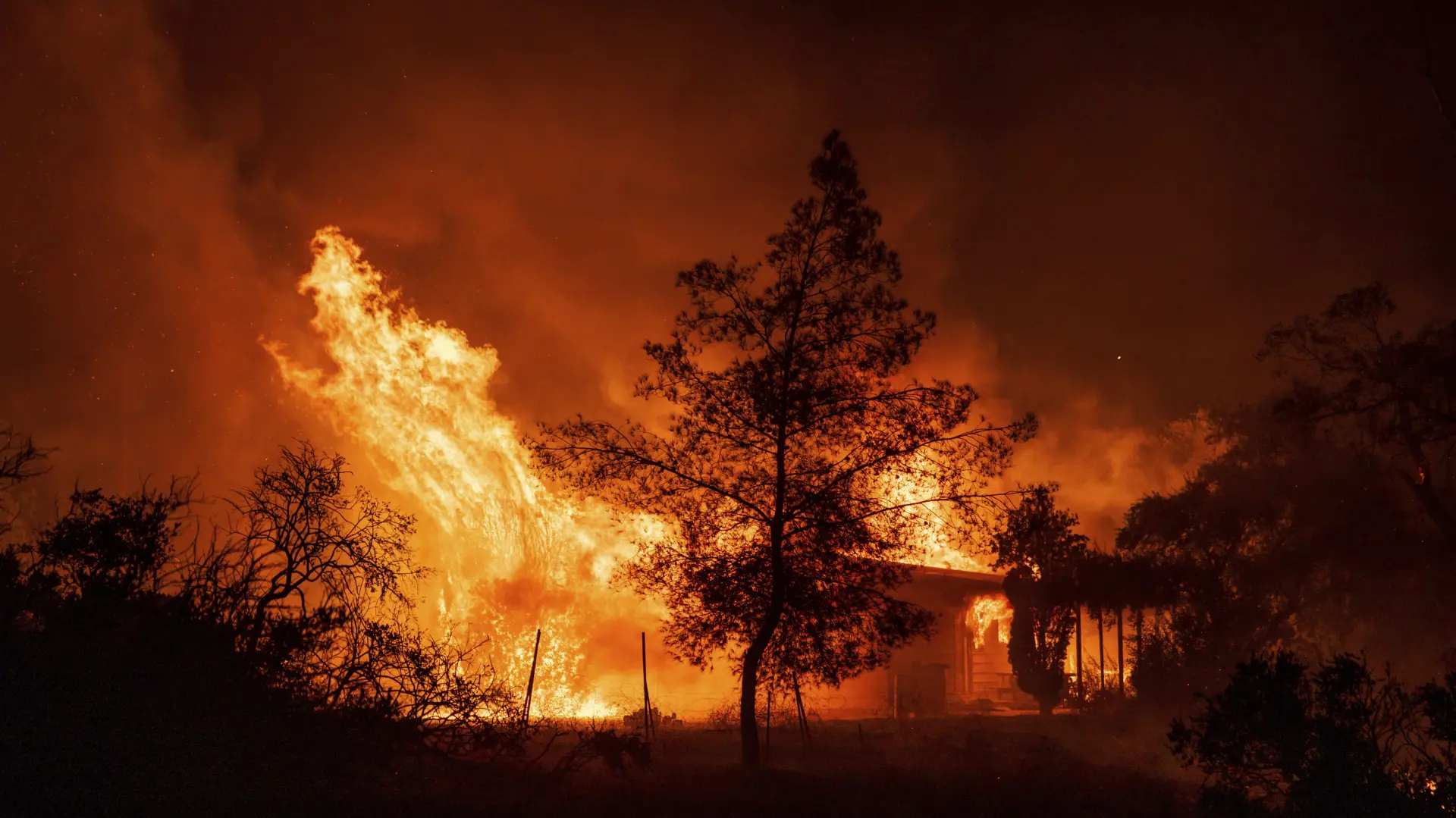 kalifornija požar AP PhotoEthan Swope via Tanjug-6540e2ab8a118.webp