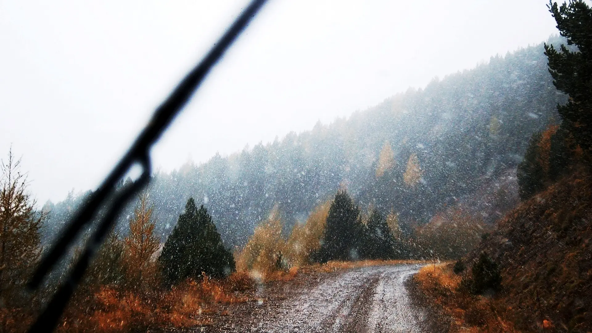 kiša, sneg, zima, vremensika prognoza, vreme, hladno, planina pixabay-656083856d14d.webp