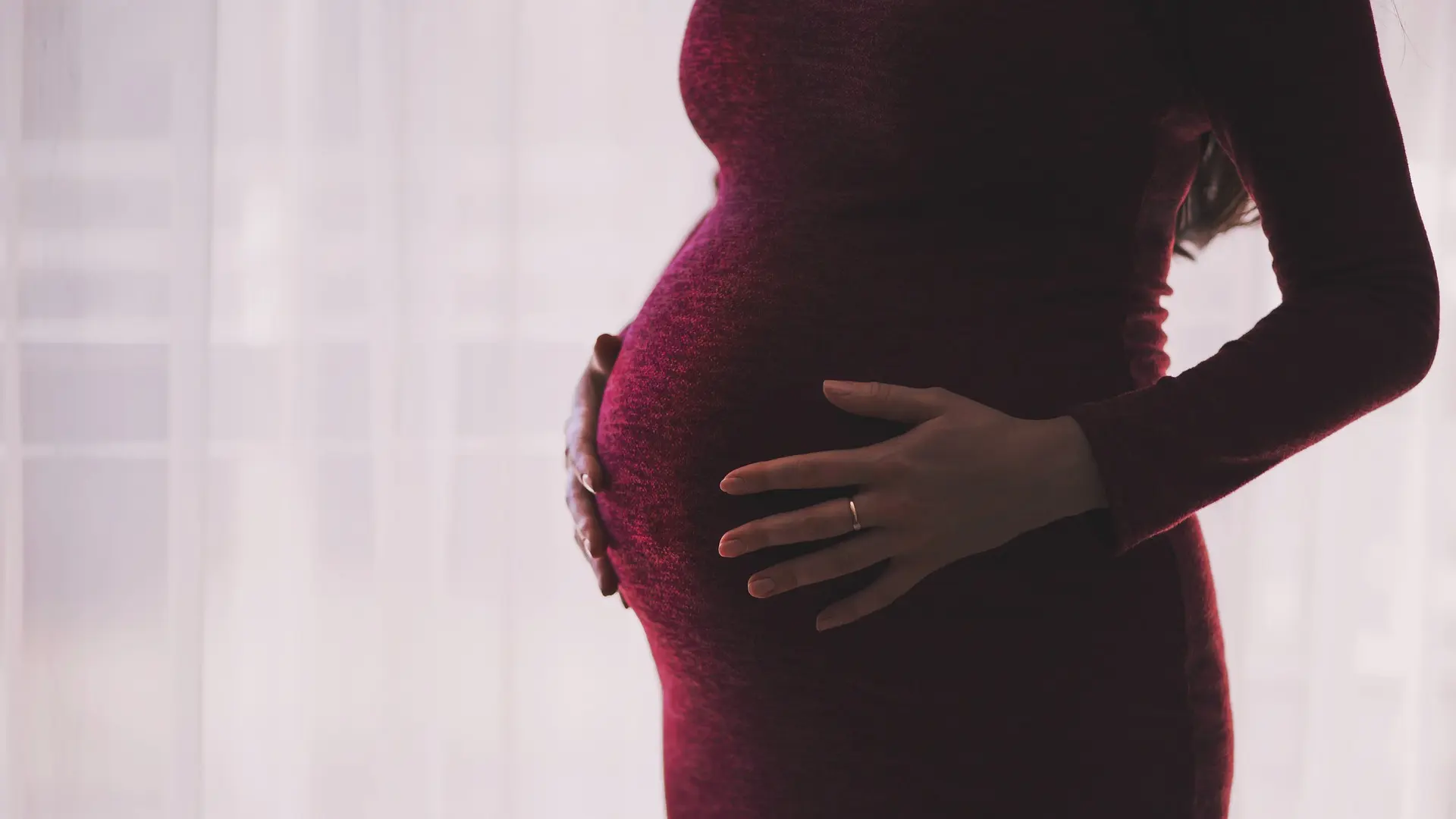 trudna žena, trudnoća, surogat pixabay-6585d3dbc4adb.webp
