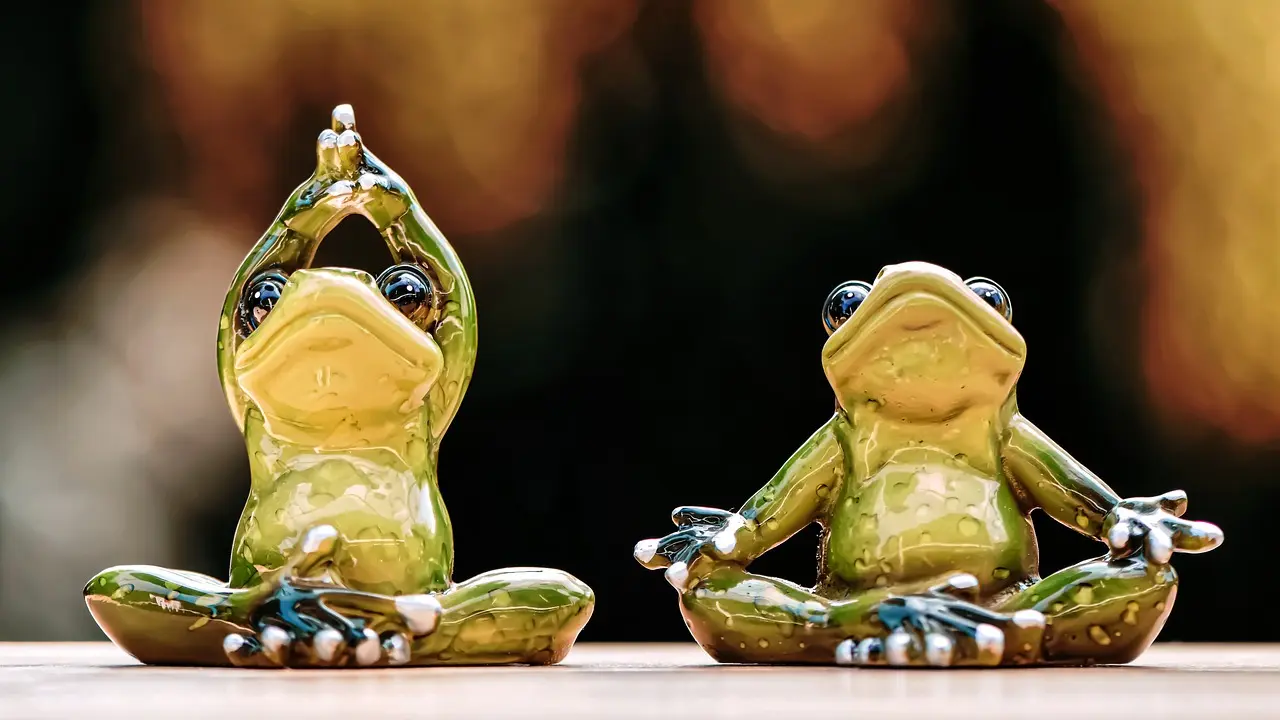 figura žabe, feng šui, pixabay-65b76e9216720.webp