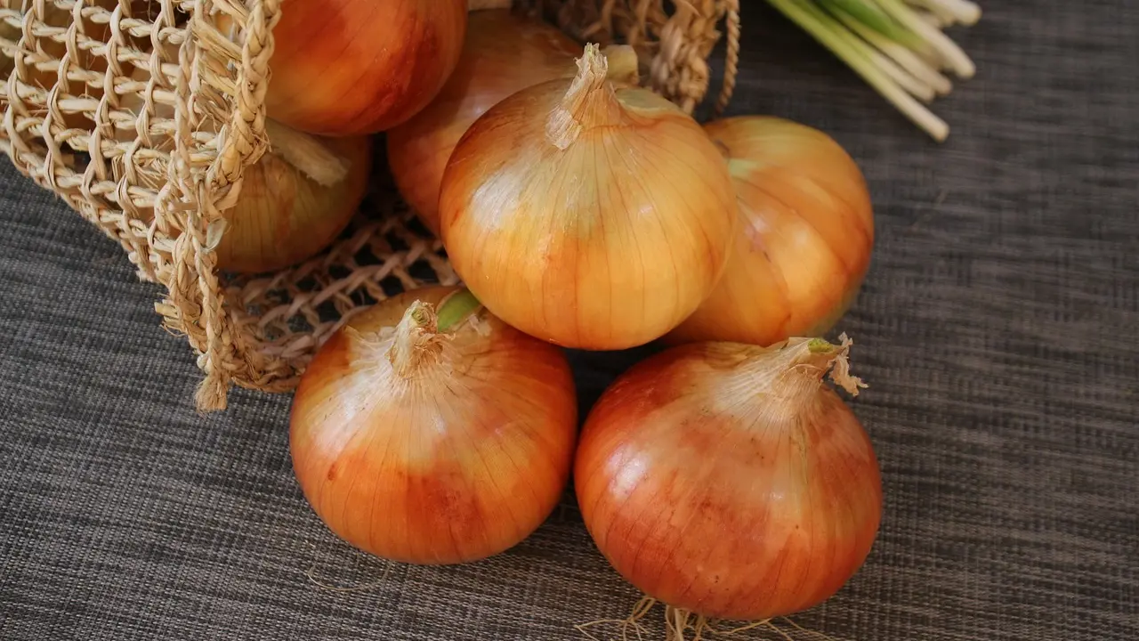 onion, crni luk, povrće, pixabay-65981709a03a0.webp