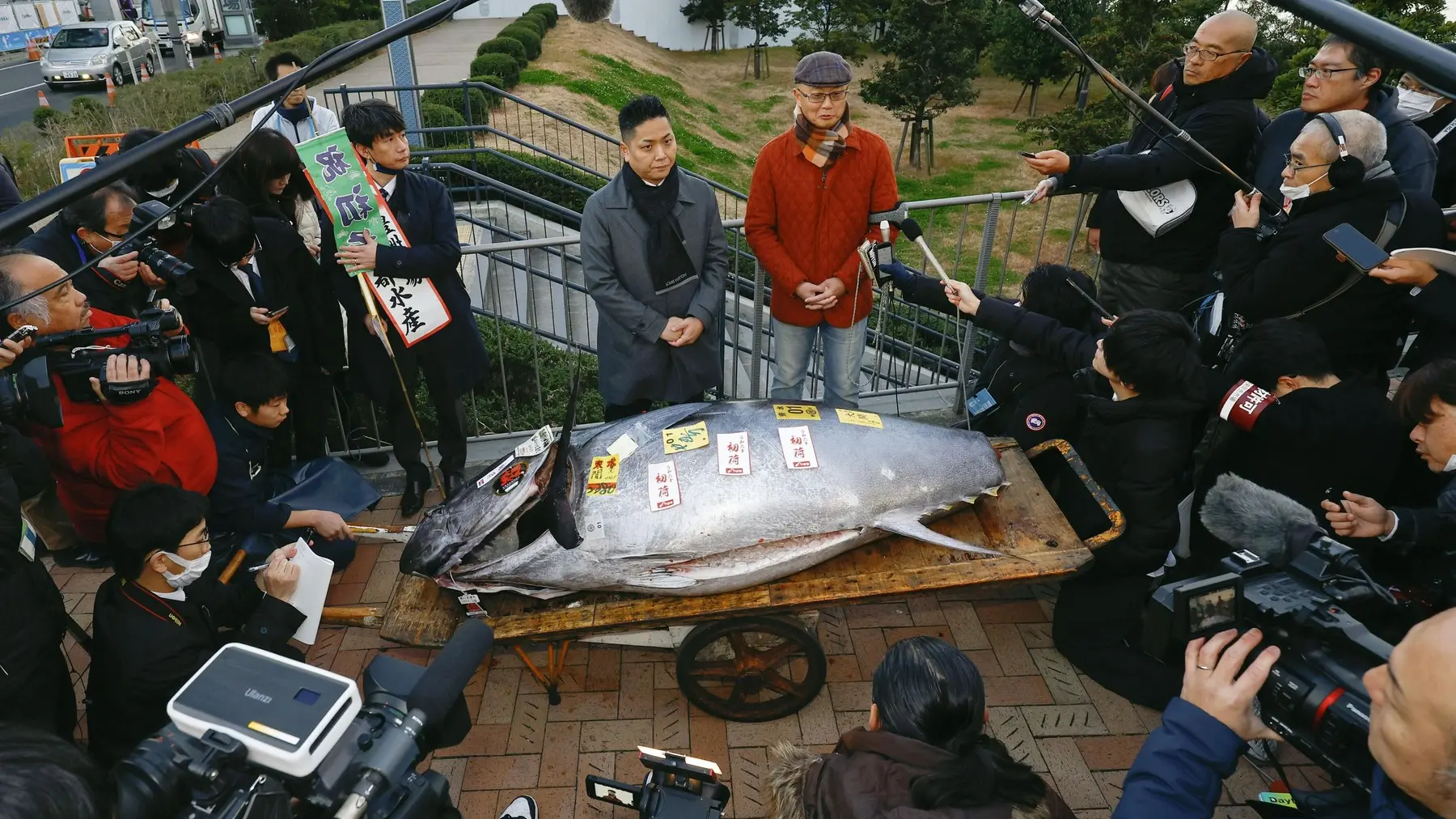 tuna plavoperka prodata u japanu za 789000 dolara, 5 jan 2024 - profimedia-659831a68c137.webp