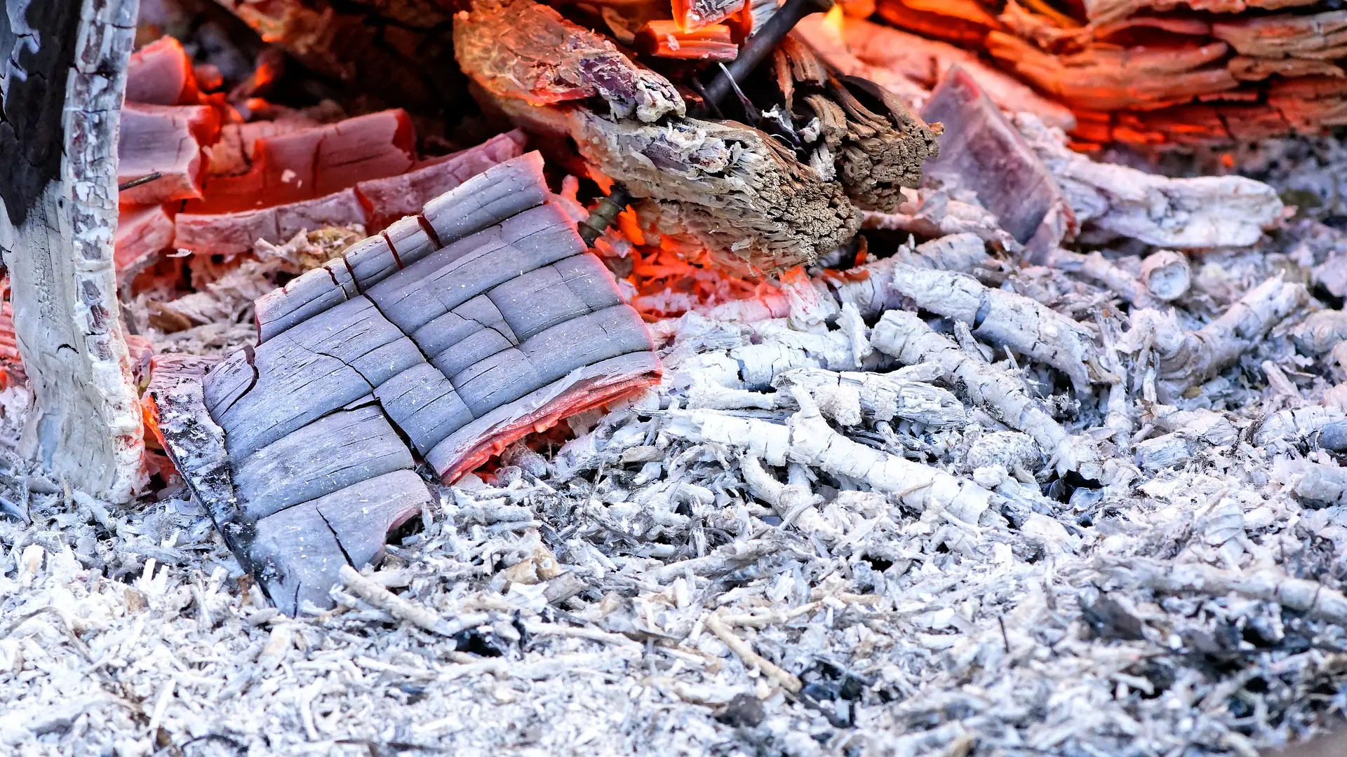 vatra, izgorelo drvo. pepeo pixabay-659ac6e4016e4.webp