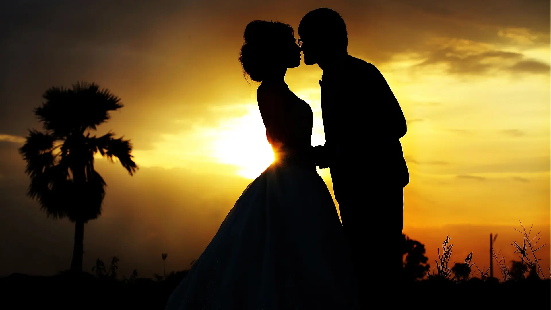 wedding venčanje, svadba, ljubavni par, ljubav pixabay-65cca07747270.webp