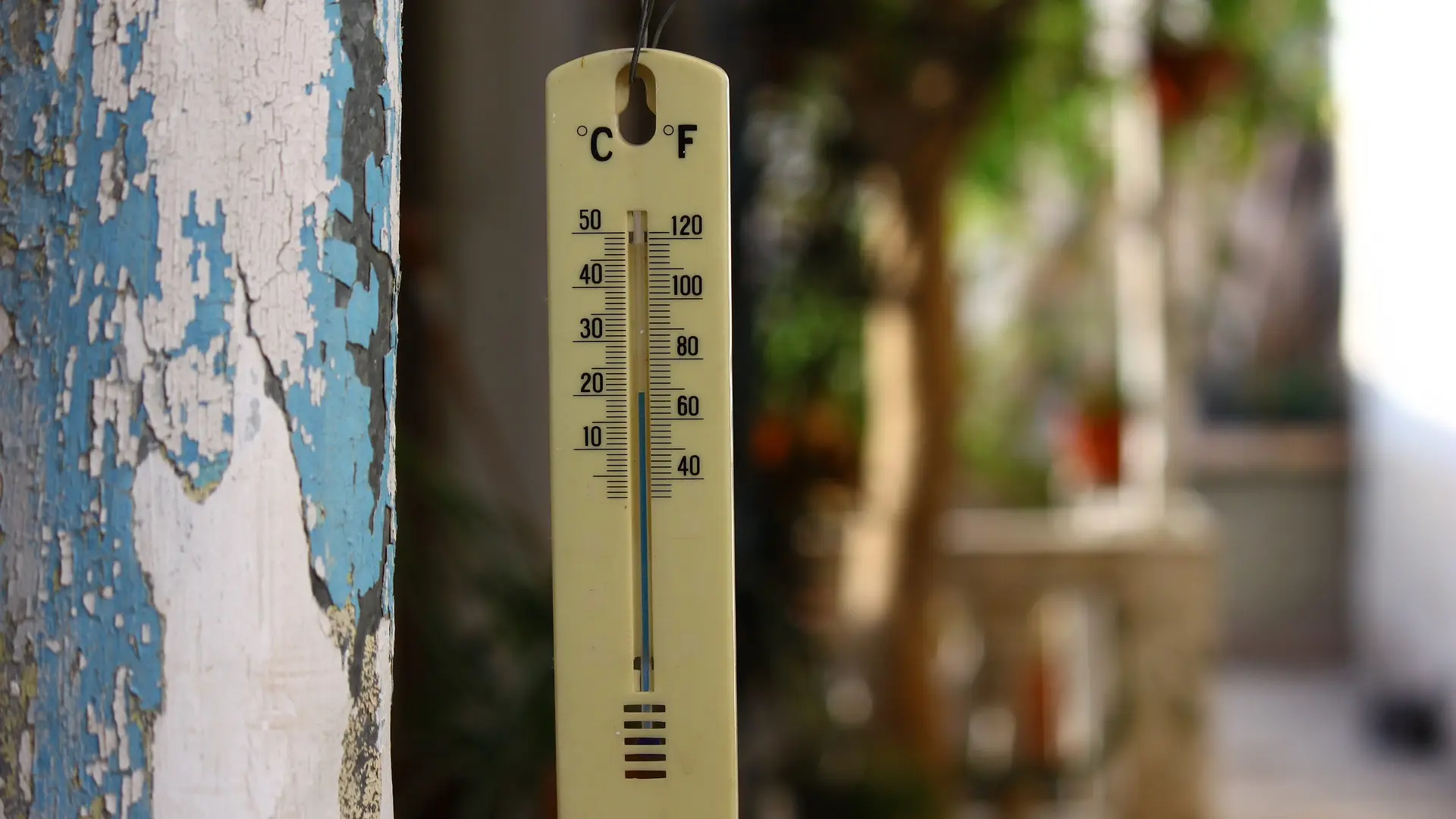 El Ninjo, vreme, prognoza, temperatura, termometar pixabay-65e73ade3441e.webp