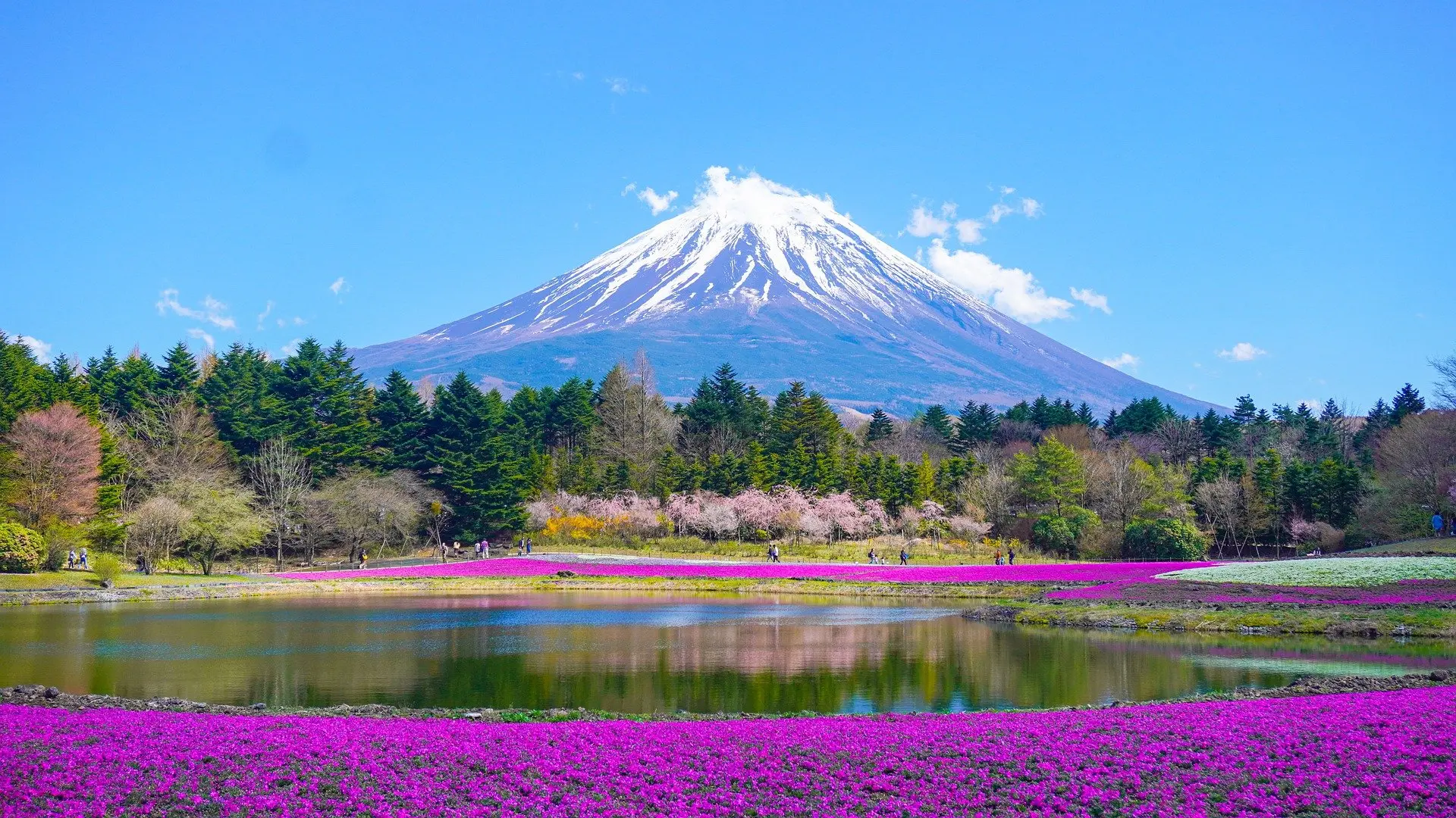 Fuji, Japan, pixabay-65f564dc95ea7.webp