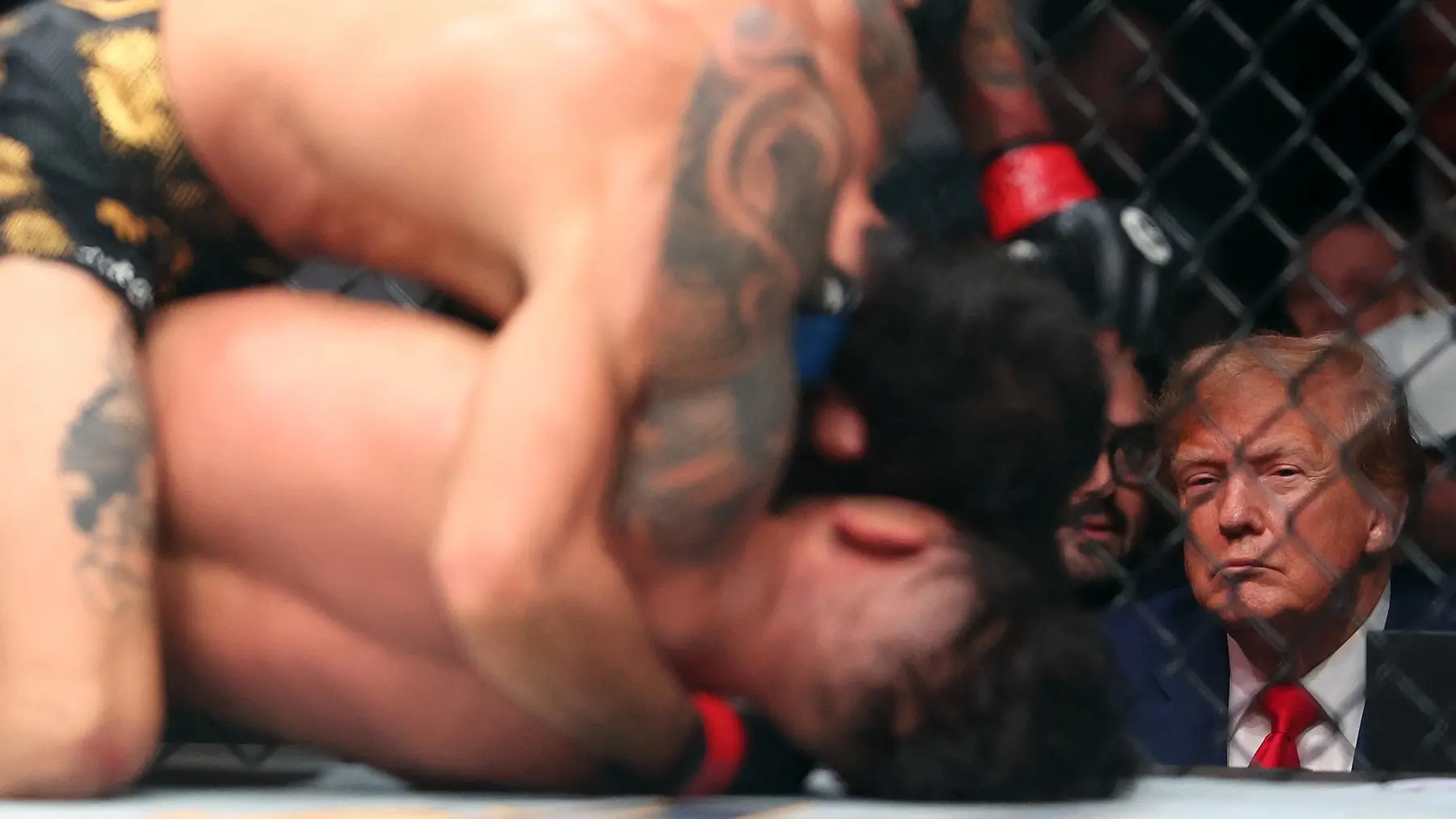 donald tramp gleda UFC meč u Majamiju, 10 mart 2024 - profimedia (2)-65edf59dd94a1.webp