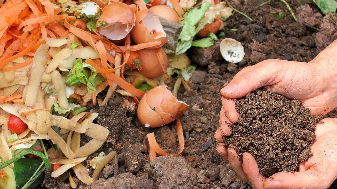 komposting djubrivo sadnja zemlja pixabay-65eb32e57723f.webp