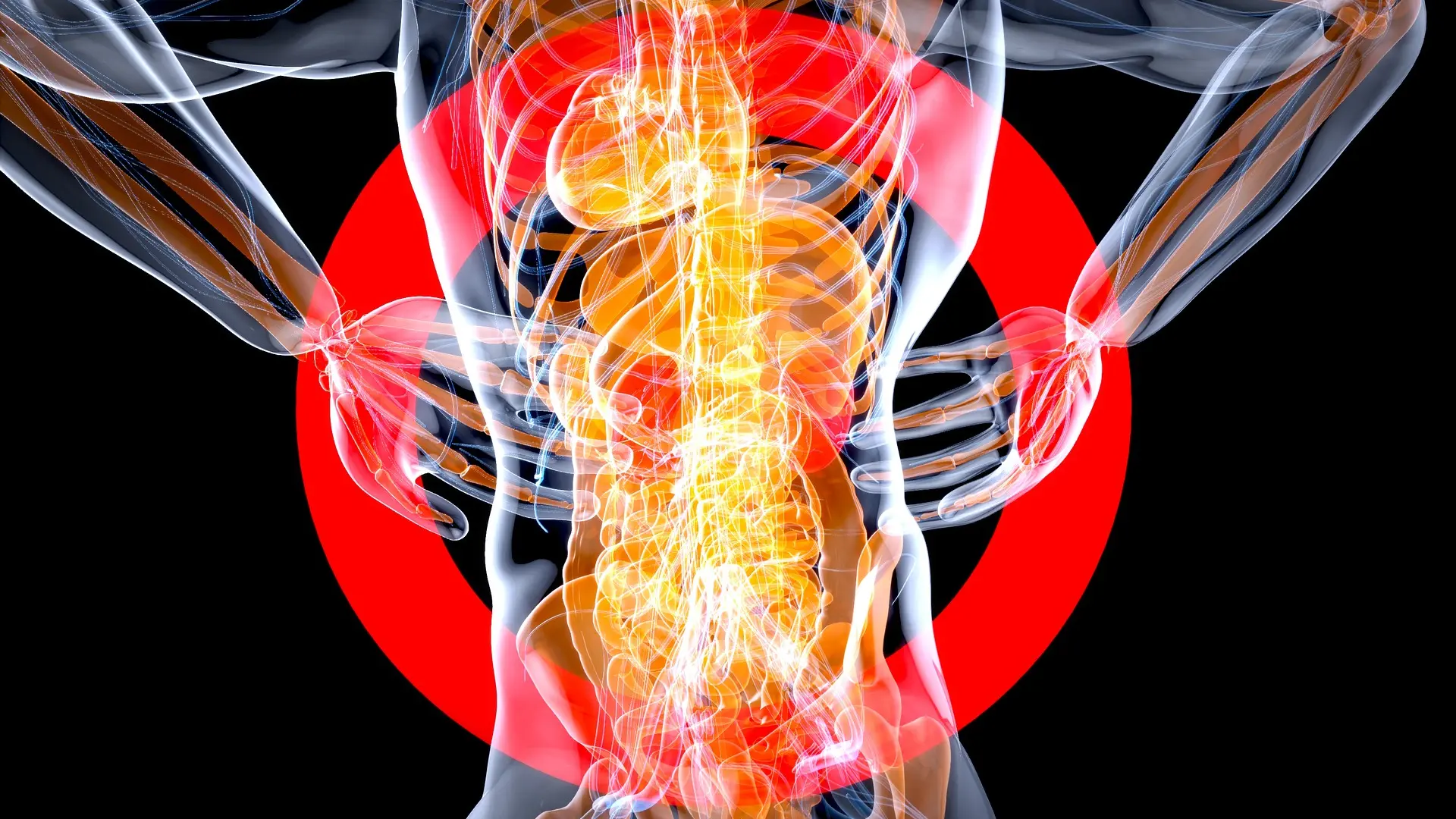 ljudsko telo, čovek, organi, organizam, bubrezi, kičma rak pixabay-65fed47254fce.webp
