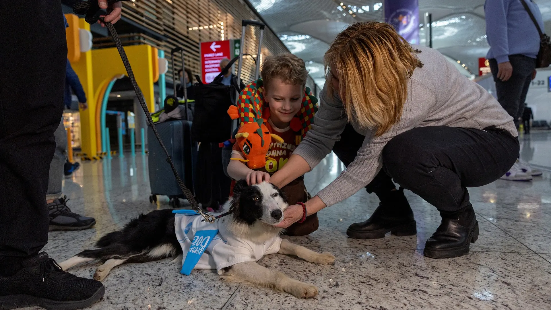 psi smiruju putnike na aerodromu u Istanbulu, istanbulski aerodrom - 11 mart 2024 - foto Reuters (5)-65ef1e9940929.webp