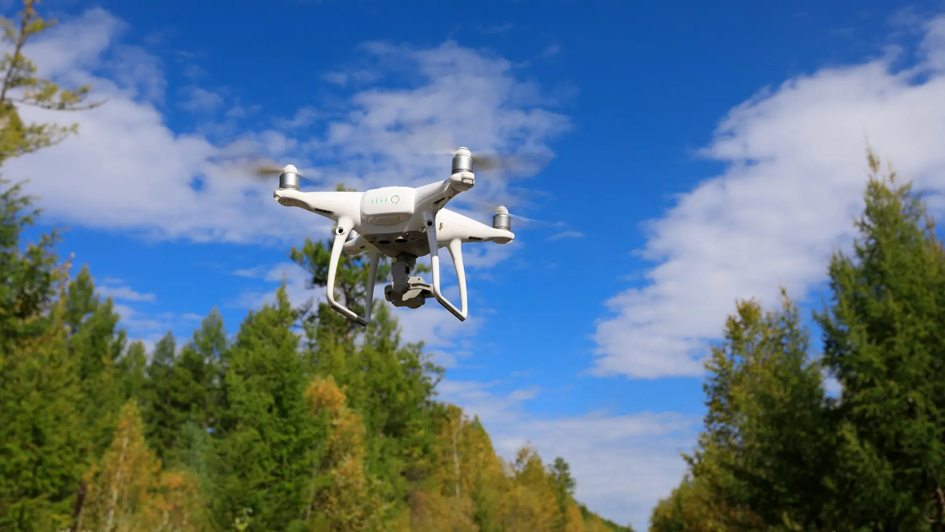 dron, šuma, dron u šumi, bespilotna letelica, biodiverzitet, istraživanje šume - shutterstock-660da97b5b83d.webp