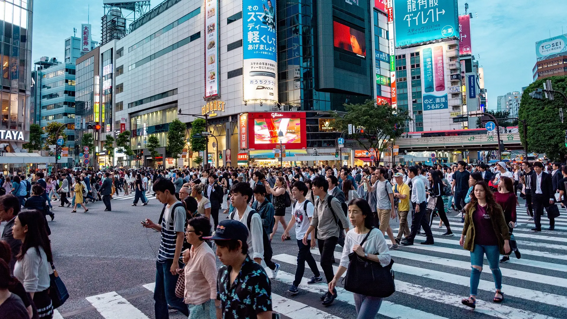 japan, ljudi, ulica, pixabay-662f6096e8092.webp