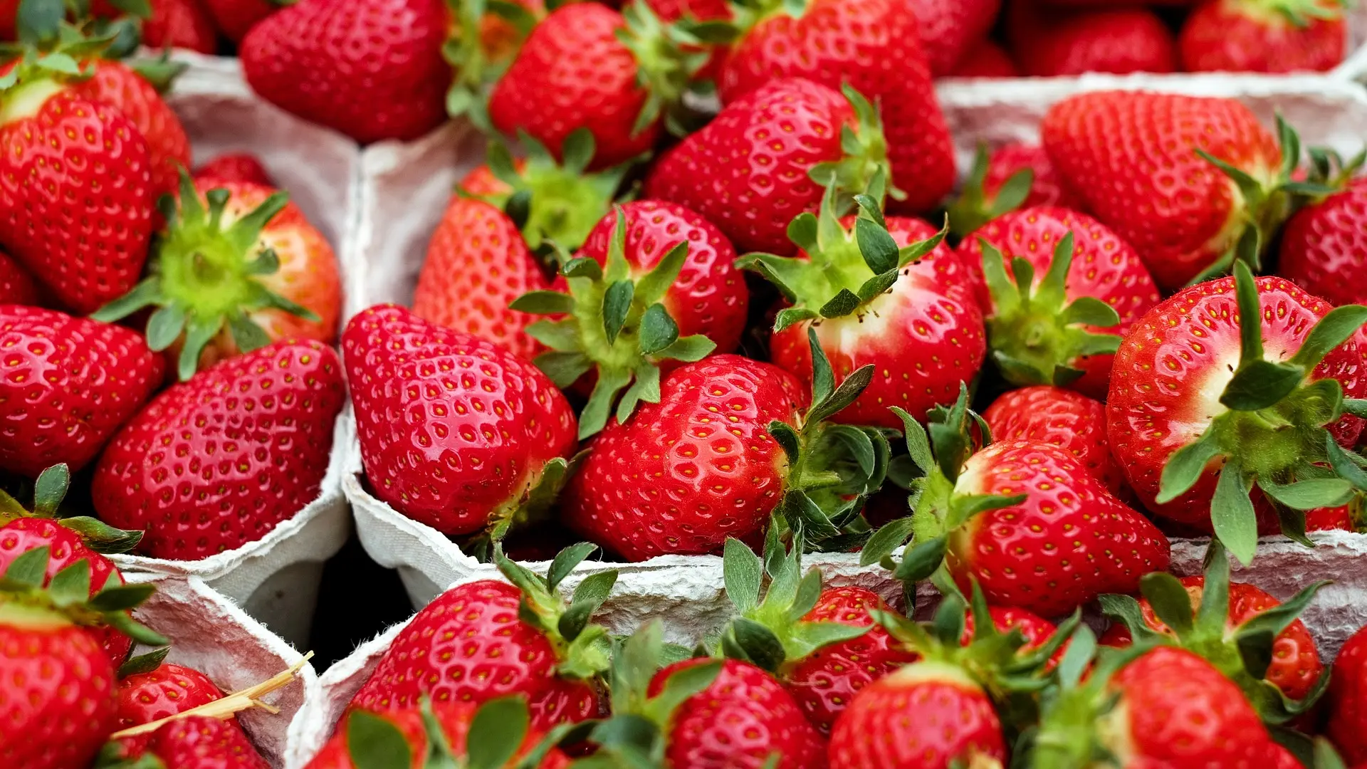 strawberries, jagode, voće, pixabay-66150fa2caac1.webp