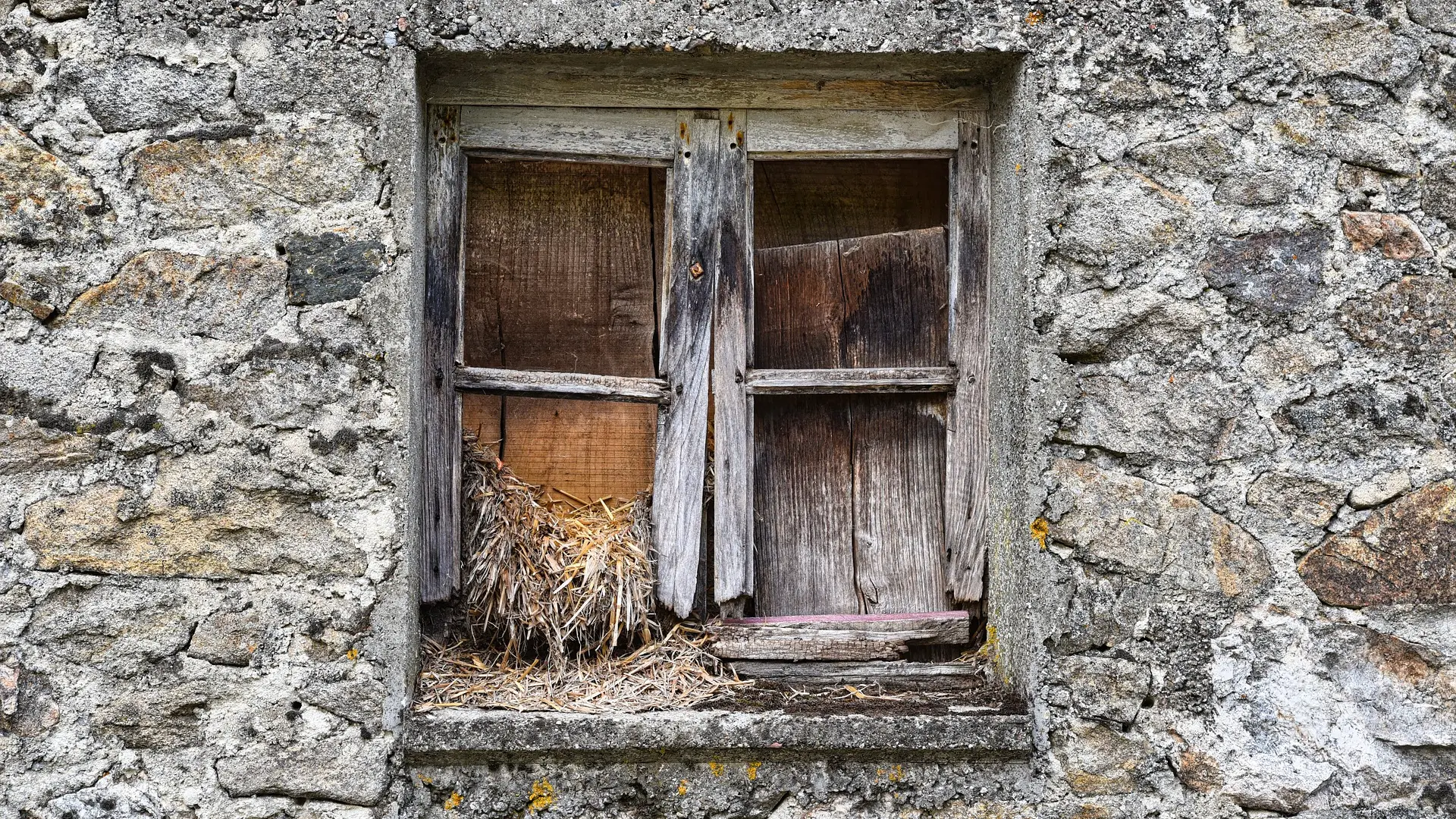 napuštena kuća, prozor, pixabay-663b733c53432.webp
