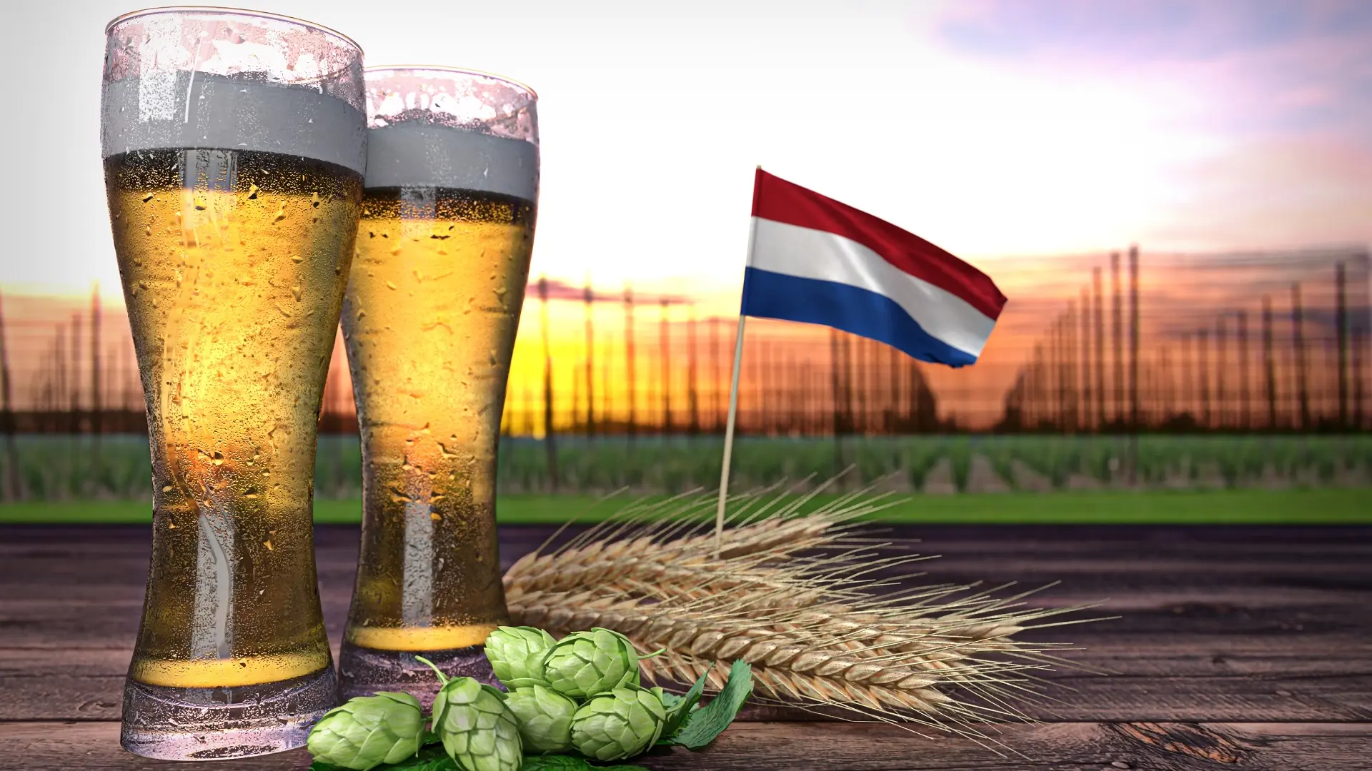 pivo, holandija, pivo u holandiji, prodaja piva, holandsko pivo - shutterstock-66367b12f29da.webp