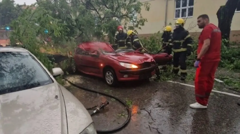 žena poginula u somobru kada je na njen automobil palo drvo, sombor - 21 maj 2024 - foto MUP Srbije-664cd2b540b51.webp
