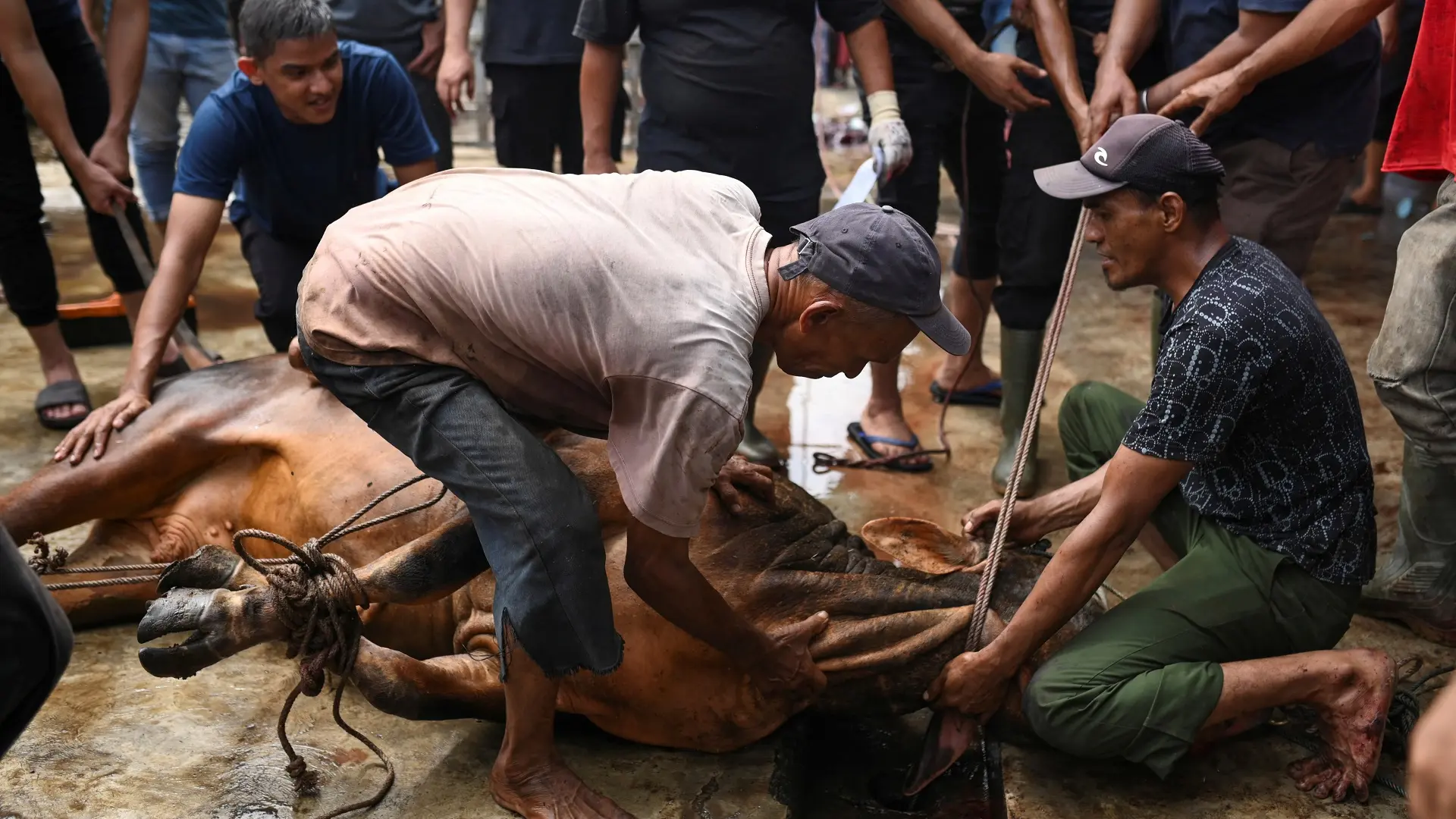 klanje žrtvenih životinja za kurban bajram, 17 jun 2024 - foto Reuters-6670144d17cee.webp
