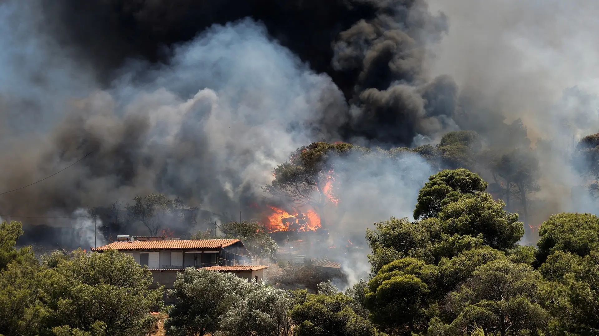 šumski požar kod atine, atina, grčka, požari u grčkoj - 30 jun 2024 - foto Reuters-6681579b91163.webp