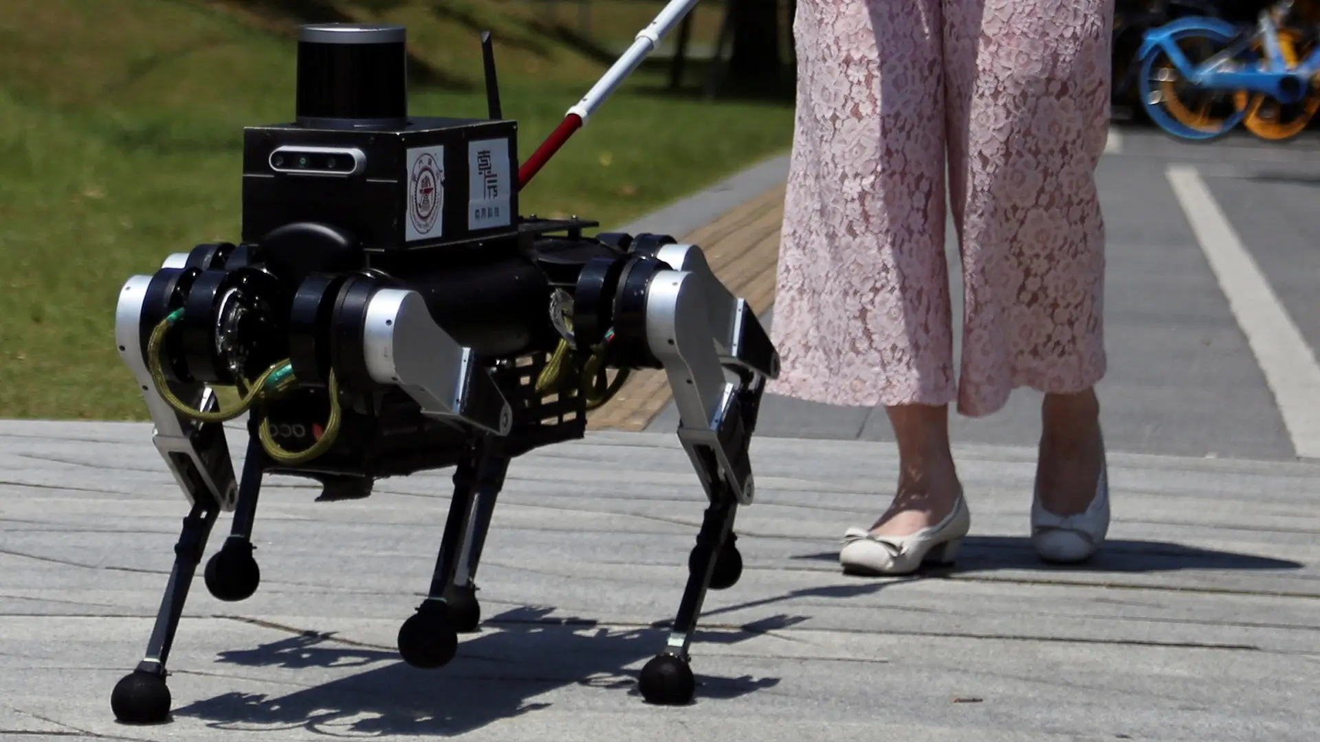 pas-robot sa Univerziteta Džiao Tong u šangaju, pas-robot vodič za pomoć slabovidima ljudima oštećenog vida, šangaj, kina - 18 jun 2024 - Reuters-6682825bc690a.webp